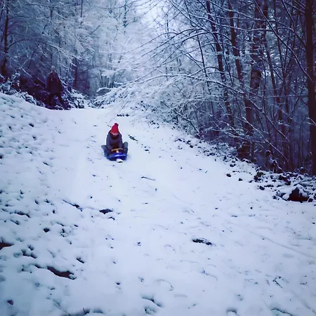 Promenade Dans La Vallée De La Meuse