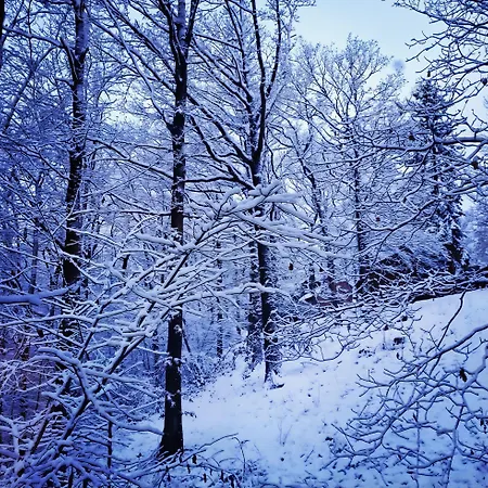 Promenade Dans La Vallée De La Meuse *