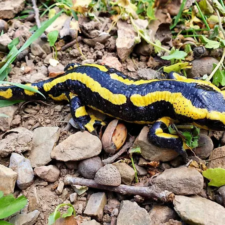 Promenade Dans La Vallee De La Meuse