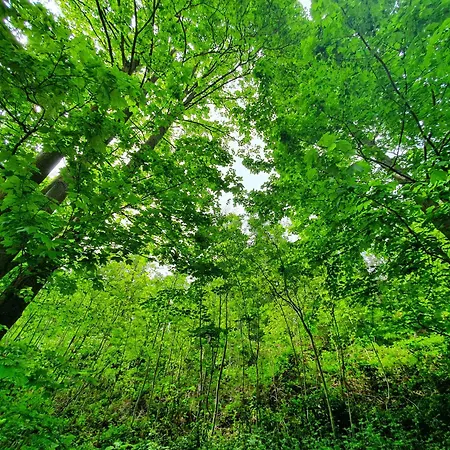 Σπίτι διακοπών Promenade Dans La Vallee De La Meuse