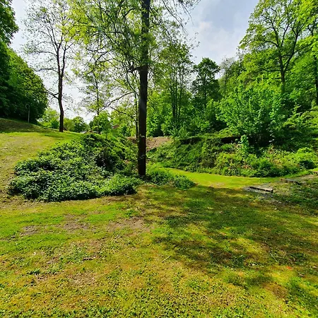 Promenade Dans La Vallée De La Meuse
